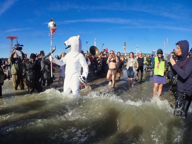 Polar Plunge