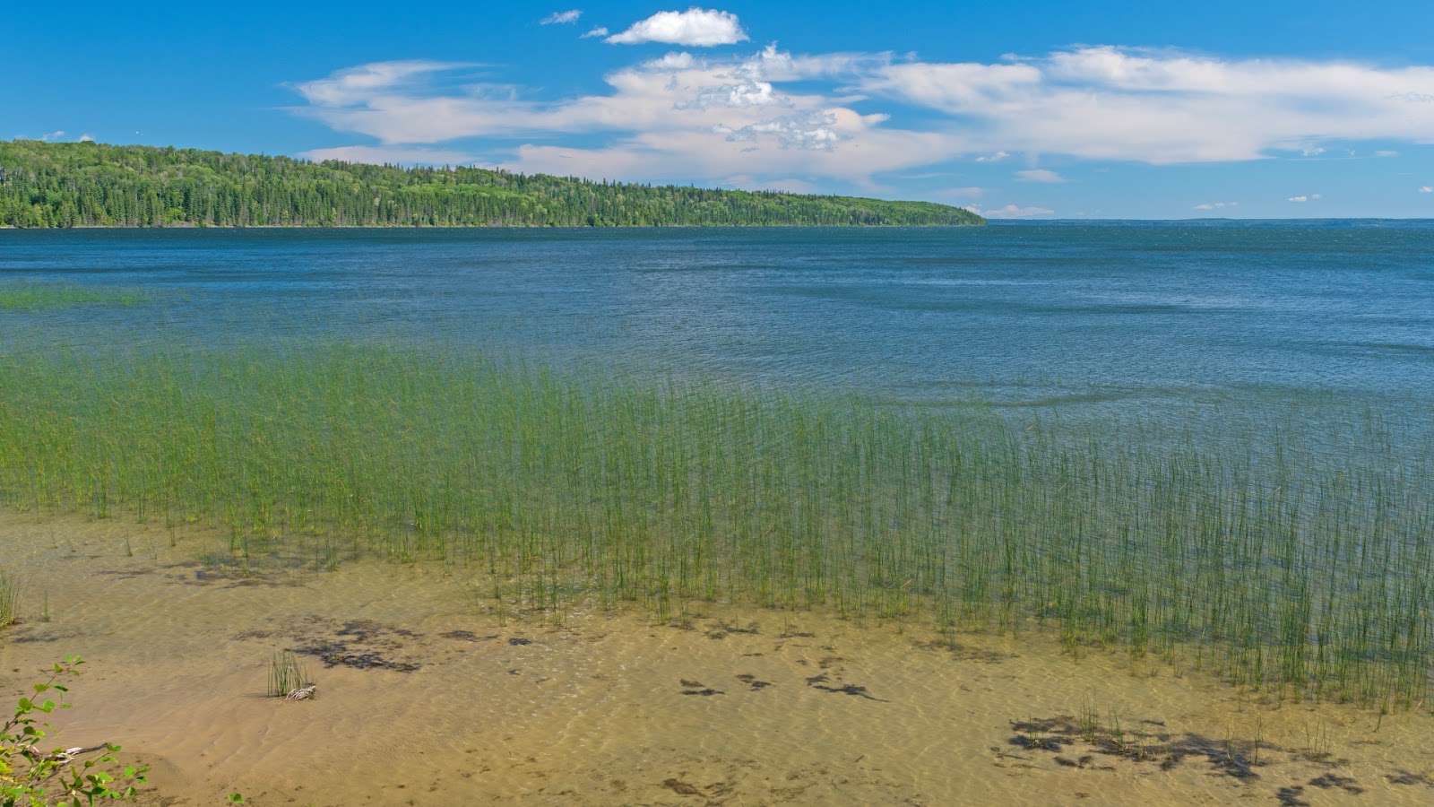 Waskesiu