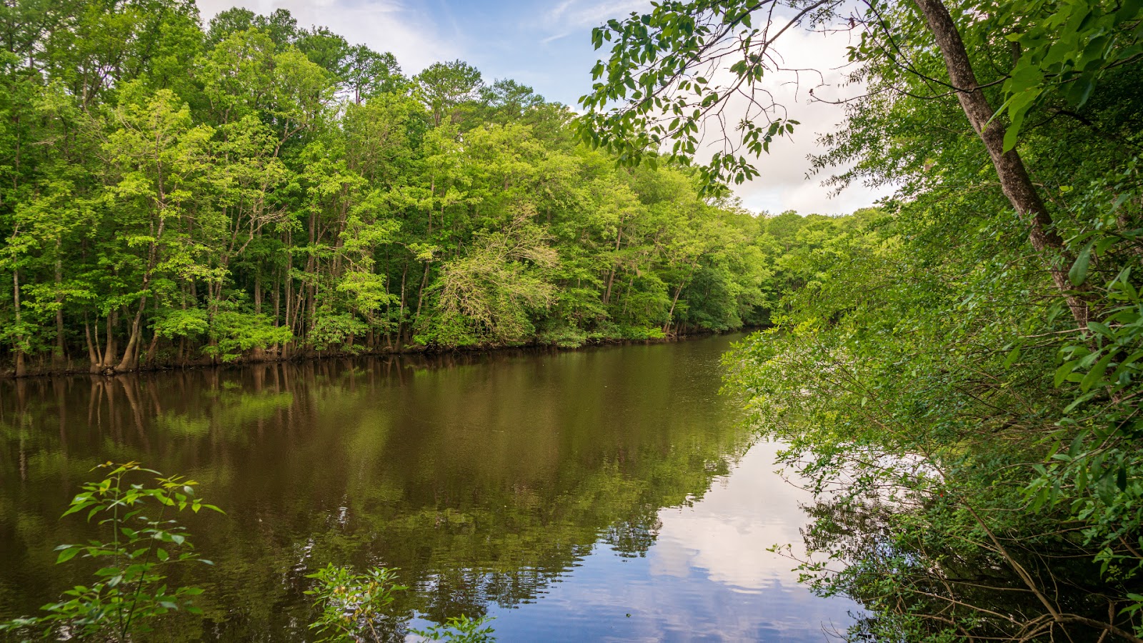 Congaree