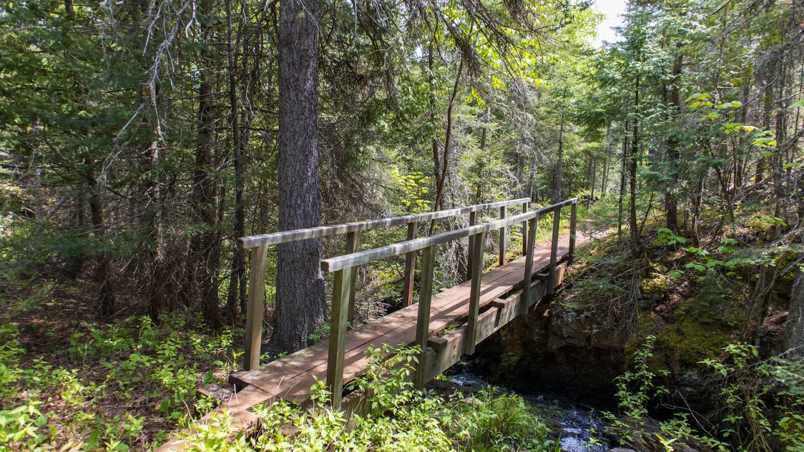 Hiking trail