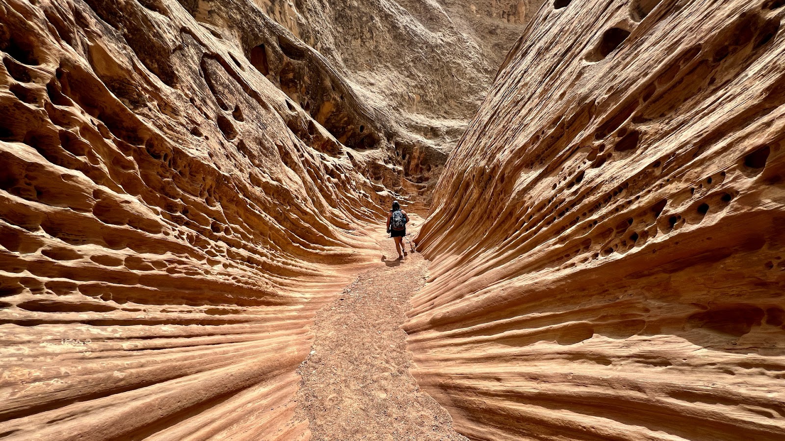 Little Wild Horse Canyon