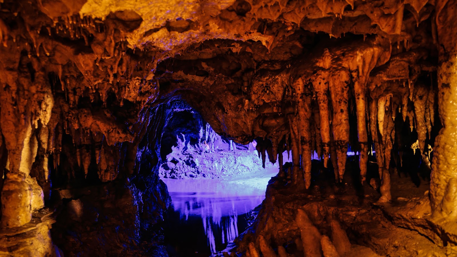 Florida Caverns