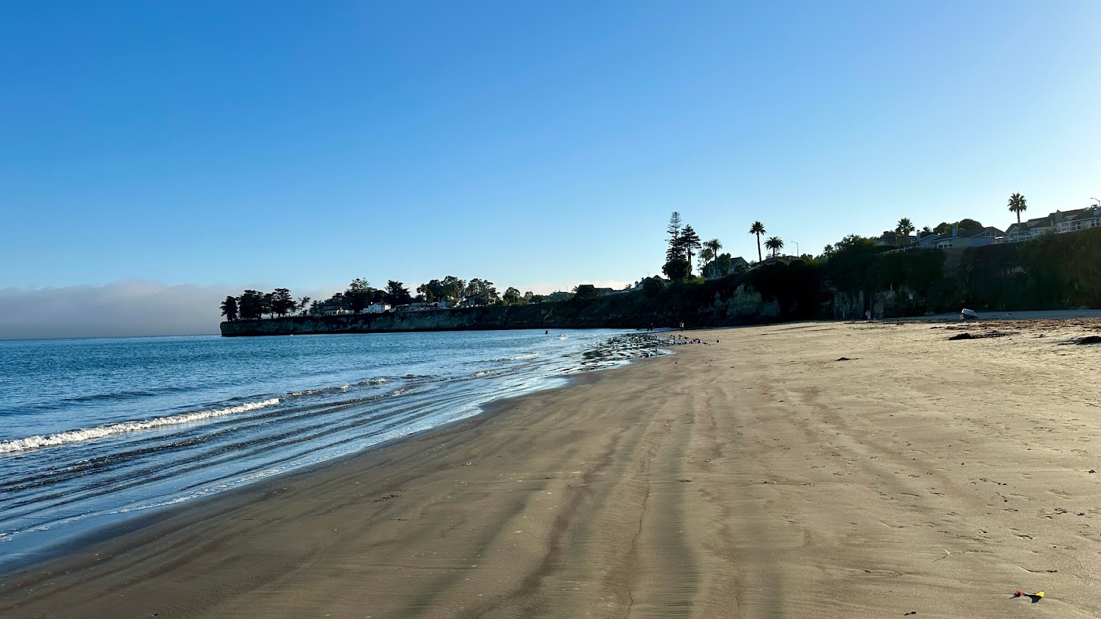 Cowell's Beach