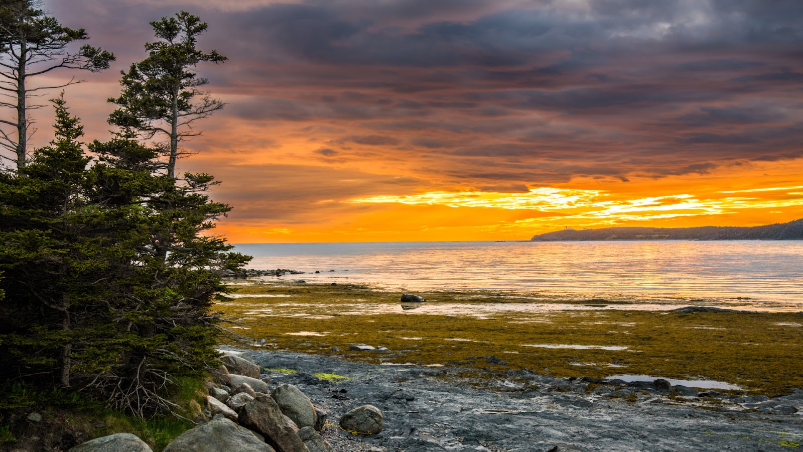 Coastal sunset