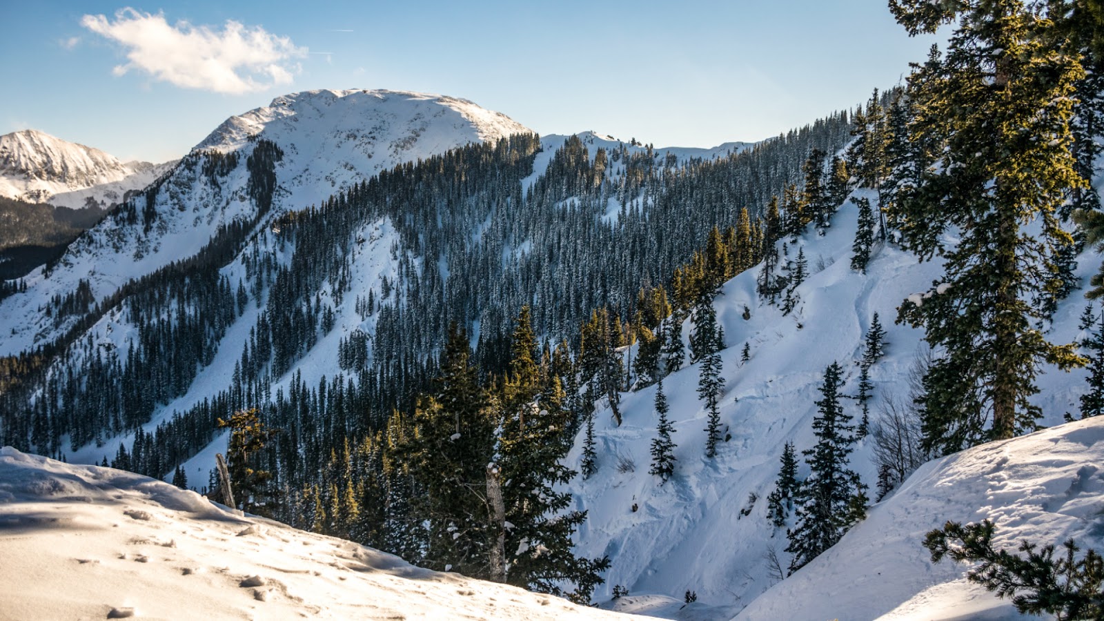 A snowy mountainous forest