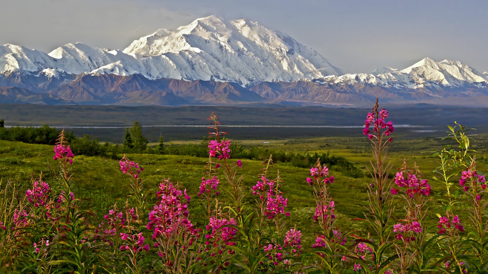 Denali
