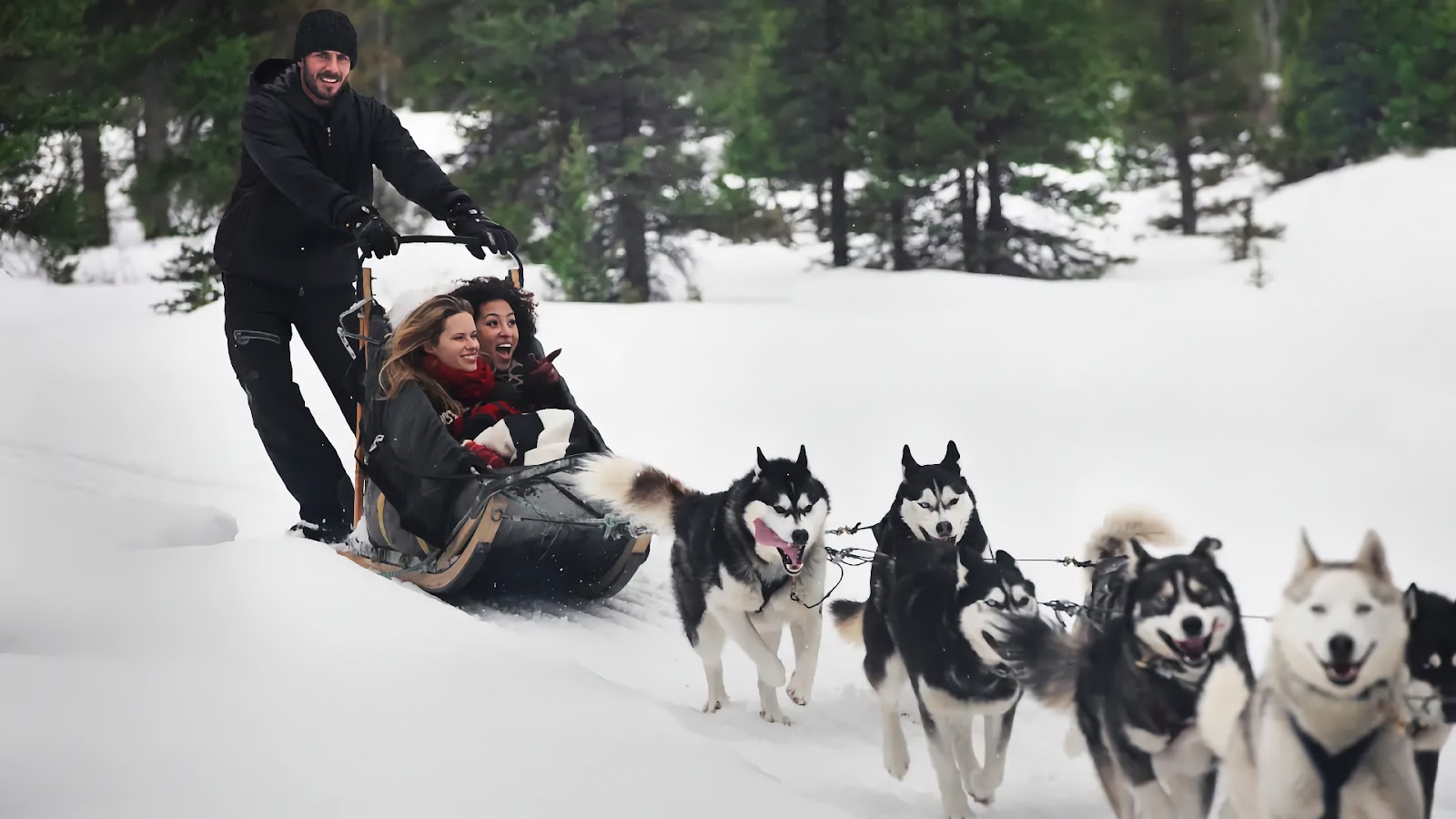 Dog sledding in Alaska